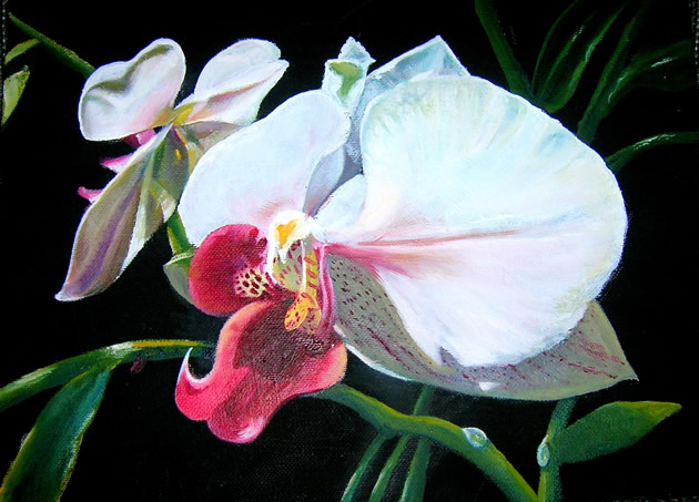BLU'S ORCHID